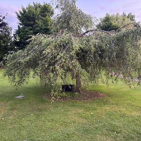 Tatil Evi The Folly Group Sleeps 26 Kilkenny