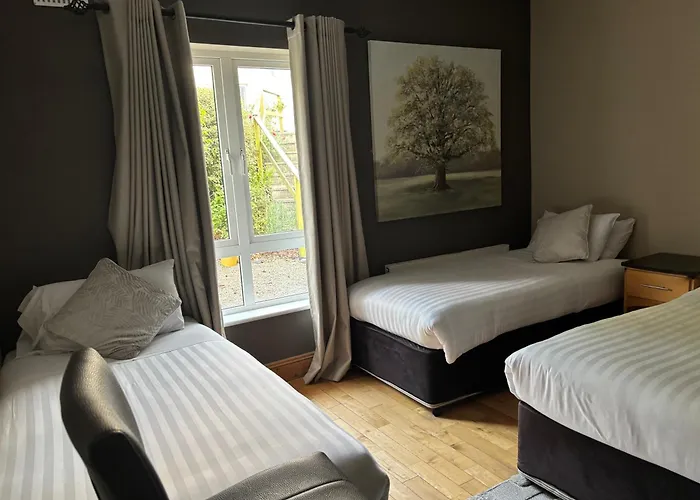 The Folly Group Sleeps 26 別荘 キルケニー