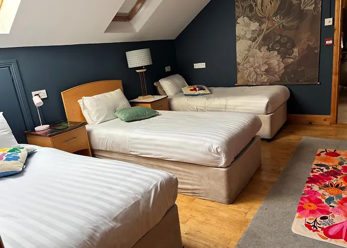 別荘 The Folly Group Sleeps 26 キルケニー