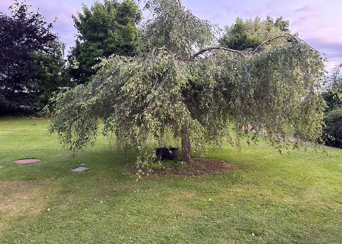 別荘 The Folly Group Sleeps 26 キルケニー